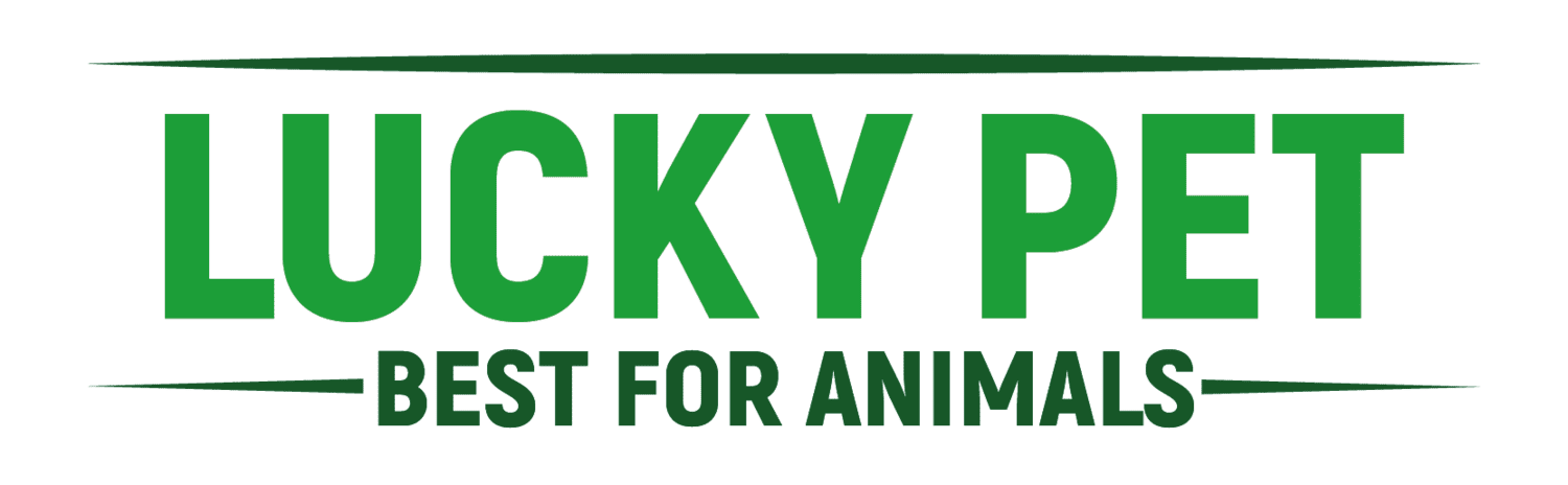 iHELP. Lucky Pet